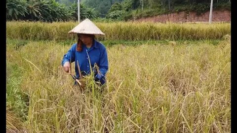 Hotspot Matrix – Kết thúc hành trình 3 ngày rực rỡ tại SECC 2025_Làm video ngắn trên điện thoại