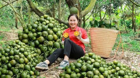 Quần dáng cong đang gây sốt với thiết kế độc đáo và tính ứng dụng cao, giúp tạo hiệu_Facebook Reels video ngắn