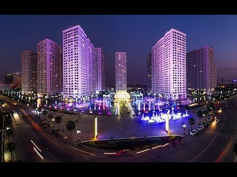 Hotspot Matrix và Forestival: Gắn kết nghệ thuật, cộng đồng và thiên nhiên_Video ngắn YouTube Shorts