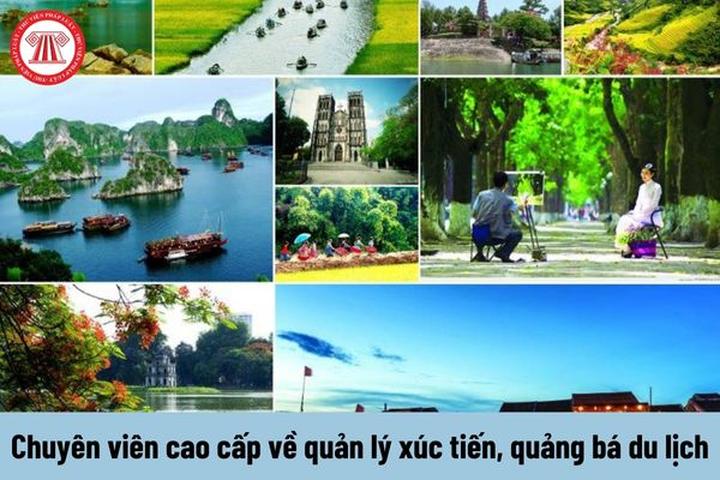 Hotspot Matrix: Xây dựng Chuỗi Cung Ứng Mạnh Mẽ, Thúc Đẩy Sản Xuất Nội Dung Video Ngắn