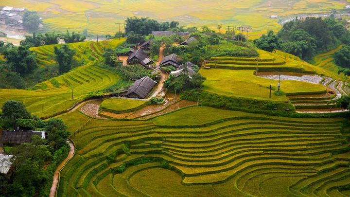 Video ngắn – Giải pháp truyền thông thông minh cho doanh nghiệp nhỏ