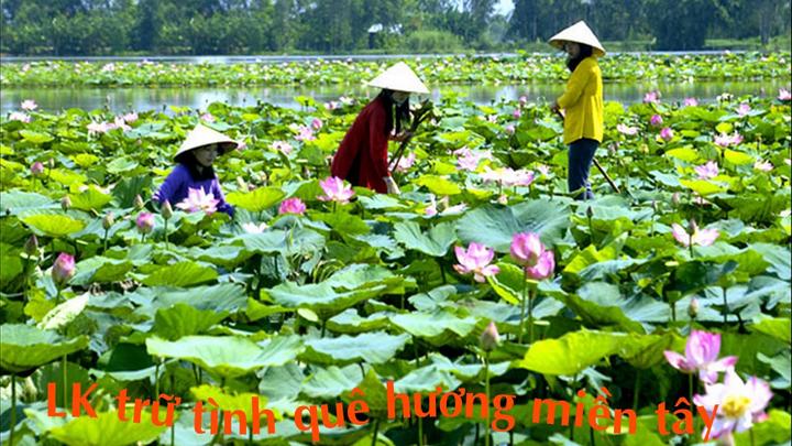 Bé gái 14 tuổi đau bụng, nôn - Cảm hứng video marketing từ Hotspot Matrix