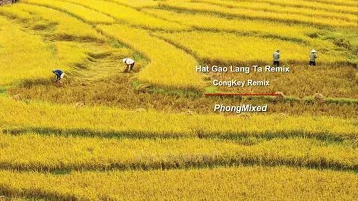 Xu hướng Loài cá kỳ lạ nhất châu Phi:: Hotspot Matrix tiết lộ bí quyết video viral
