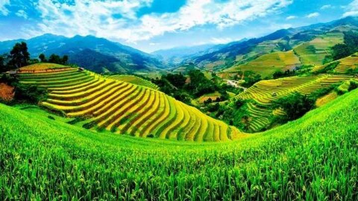 Hotspot Matrix và Kẻ giết người hàng loạt gieo rắc nỗi kinh hoàng cho cả Hàn Quốc: 30 năm